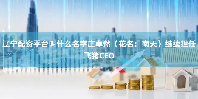 辽宁配资平台叫什么名字庄卓然（花名：南天）继续担任飞猪CEO
