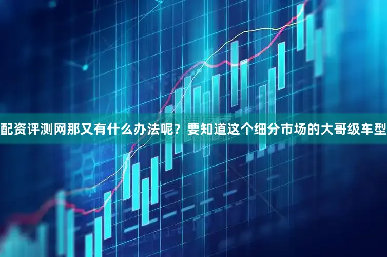 配资评测网那又有什么办法呢？要知道这个细分市场的大哥级车型