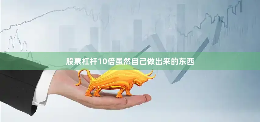 股票杠杆10倍虽然自己做出来的东西