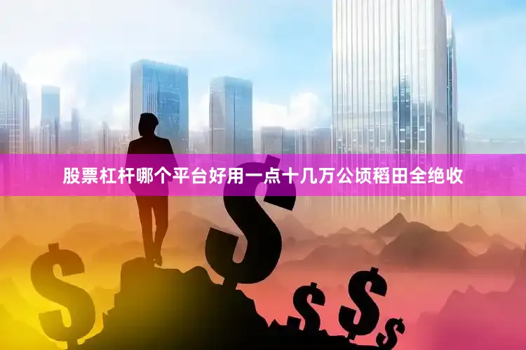股票杠杆哪个平台好用一点十几万公顷稻田全绝收